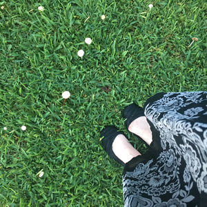 Meet your Posh Stylist